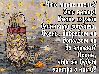 осеннее... / счастье :: насморк :: картинка с текстом :: Осень / смешные  картинки и другие приколы: комиксы, гиф анимация, видео, лучший  интеллектуальный юмор.