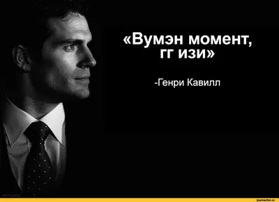 От лошадей-«сплетниц» до удивленных котов: как выглядят самые смешные  питомцы в мире | WMJ.ru