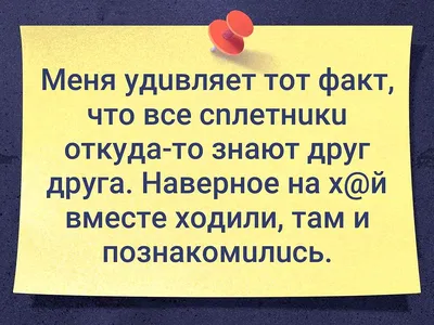 Слышал звон, да не знает где он, или Как опошлить доброе дело | Местное  время - новости Рубцовска и Алтайского края