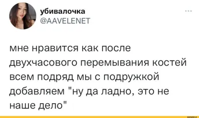 От лошадей-«сплетниц» до удивленных котов: как выглядят самые смешные  питомцы в мире | WMJ.ru