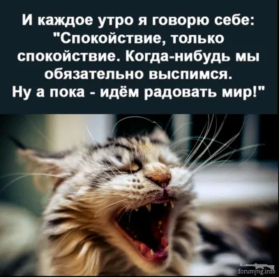 YJZT 17,4 см * 8,3 см сохраняйте спокойствие и флип-флоп на Наклейки Слова  автомобиля виниловая наклейка черный/серебристый смешные и Юмористические  слова 13D-0151 | AliExpress