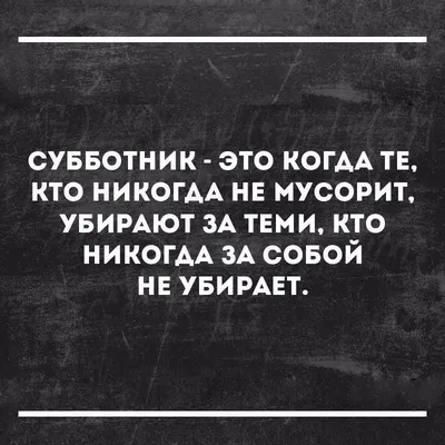 Жители Выборга смогли сделать из субботника праздник | Официальный портал  МО «Выборгский район» Ленинградской области