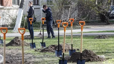 субботник / смешные картинки и другие приколы: комиксы, гиф анимация,  видео, лучший интеллектуальный юмор.