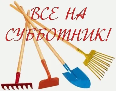 Картинки суббота субботника (37 фото) » Юмор, позитив и много смешных  картинок