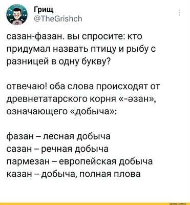 Смешные названия сел в Татарстане: почему они так называются - 3 февраля  2023 - 116.ru