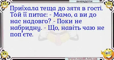 Анекдоты про тещу и зятя - смешные приколы и шутки про семью - Телеграф