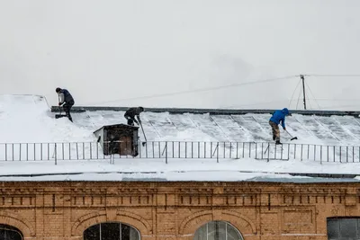 Картинки борьба со снегом прикольные - 75 фото