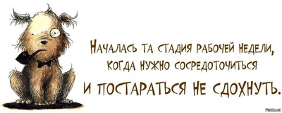 Прикольные картинки про усталость с надписью: юмор о сонном состоянии