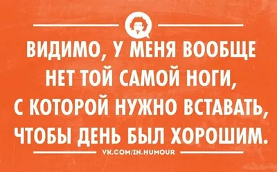 Головы Кролика С Разными Эмоциями Веселые Грустные Задумчивость Смешные  Сонливость Усталость Злоба — стоковая векторная графика и другие  изображения на тему Кролик - животное - iStock