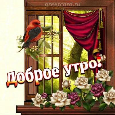 Прикольные картинки \"Доброе утро\" 👍 😄 (304 шт.) | Юмор о настроении,  Надписи, Доброе утро