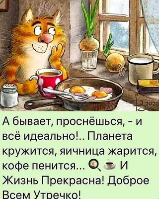 Мой КОТ, КОГДА ВИДИТ, КАК я СОБИРАЮСЬ УТРОМ НА РАБОТУ! / смешные картинки  (фото приколы) :: котэ (прикольные картинки с кошками) / смешные картинки и  другие приколы: комиксы, гиф анимация, видео, лучший интеллектуальный юмор.