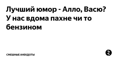 просто фото кота васи / смешные картинки и другие приколы: комиксы, гиф  анимация, видео, лучший интеллектуальный юмор.