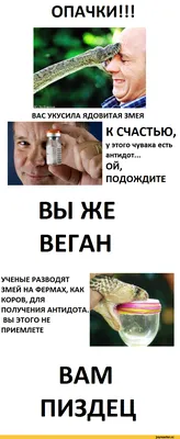 Веганский Белок Смешные Продукты Из Набора — стоковая векторная графика и  другие изображения на тему Афиша - Афиша, Без людей, Векторная графика -  iStock