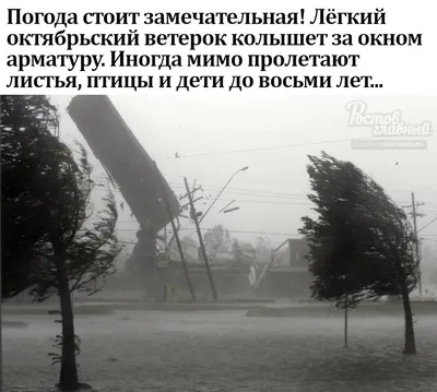 Ветер сдул мантию Папы Римского во время его проповеди. Осторожно, смешные  фото — Мир