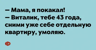 Это Виталик. Нет, он не кусается. Он просто любит жрать своё говно”. /  собакэ / смешные картинки и другие приколы: комиксы, гиф анимация, видео,  лучший интеллектуальный юмор.