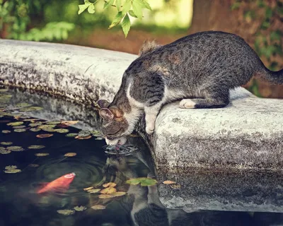 30 шт. Огненная вода Наклейки Этикетки для бутылок Самогон. На бутылки  Забавные этикетки, смешные наклейки | AliExpress