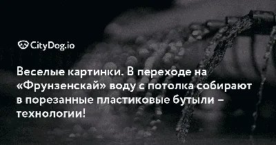 слив :: вода / смешные картинки и другие приколы: комиксы, гиф анимация,  видео, лучший интеллектуальный юмор.