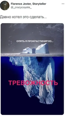 Иллюстрация 5 из 8 для Собаки под водой. Мокрые и смешные - Сет Кастил |  Лабиринт - книги.