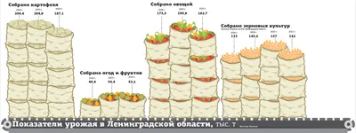 Футболка для новорожденных, артикул: К 300044, цвет: смешные зайки на  темно-оливковом, Трикотажная футболка для новорожденных купить за 349 руб.  по скидке 30 % – интернет-магазин Crockid