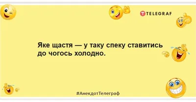 Барсика нашли в холодильнике». Смешные фото животных, которые спасаются от  жары | Minsknews.by | Дзен