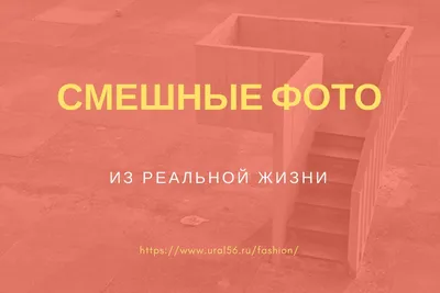 Смешные картинки про жизнь | Смешные высказывания, Смешные детские цитаты,  Веселые мысли