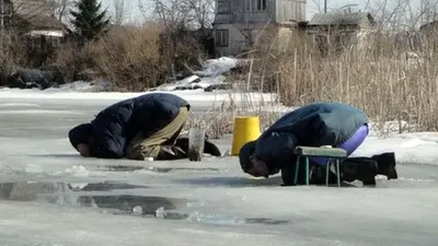 Записки ветеринара. Зимняя рыбалка в смешных переписках | СобачьЯ жизнь |  Дзен