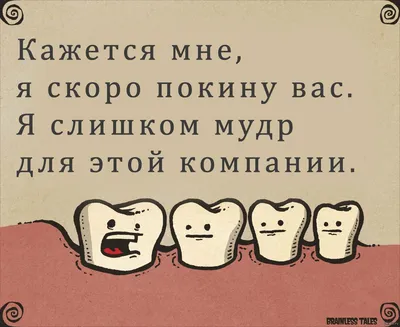 Жизнь в Норвегии: сколько стоит, как получить визу и ВНЖ, какие зарплаты и  пенсии