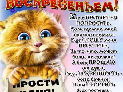 Нянюшка Ягг :: Ланкрские ведьмы :: Терри Пратчетт :: Плоский Мир :: кот ::  грибо :: darilic_comics :: Смешные комиксы (веб-комиксы с юмором и их  переводы) :: фэндомы / картинки, гифки, прикольные комиксы, интересные  статьи по теме.