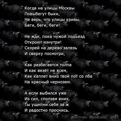 Убегая от быков, только с газетой в руке...