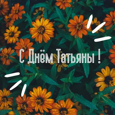 Татьянин День. Лучшие анимационные картинки ~ zhivopismira.ru