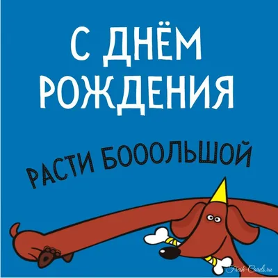 Прикольные картинки с днем рождения с юмором, веселыми и смешными  пожеланиями