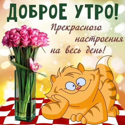 С добрым утром!#видеооткрытка #открыткасдобрымутром#открытка #рекоменд... |  TikTok