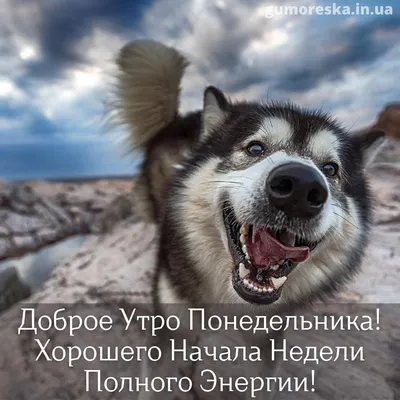 С добрым утром!#видеооткрытка #открыткасдобрымутром#открытка #рекоменд... |  TikTok