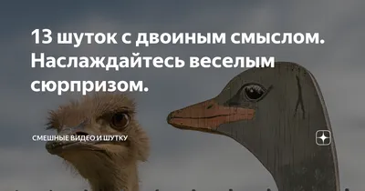 13 шуток с двоиным смыслом. Наслаждайтесь веселым сюрпризом. | Смешные  видео и шутку | Дзен