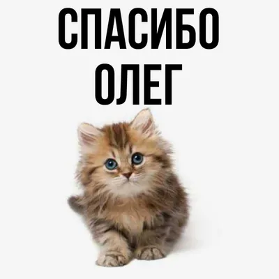 Олег Басилашвили: Я не льщу себя надеждой сыграть Ромео - Российская газета