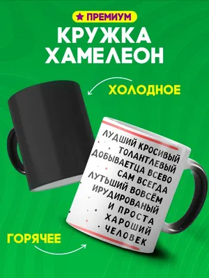 Кружка хамелеон с именем Вася душнила тот еще подарочная Custom merch  161069415 купить в интернет-магазине Wildberries