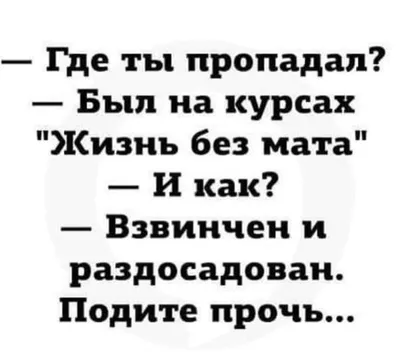 Я умею смотреть...матом! | Смешно, Смешной юмор, Позитив