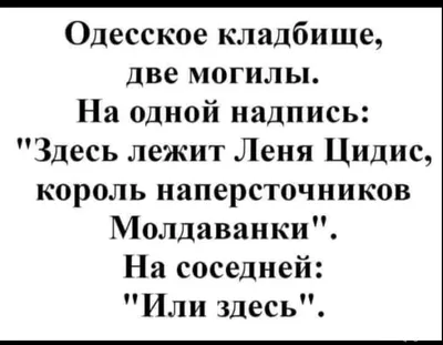 Прикольные картинки ❘ 26 фото от 25 декабря 2023 | Екабу.ру -  развлекательный портал