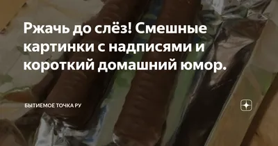 40 смешных до слез картинок с надписями