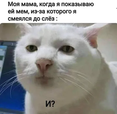 Прикольные картинки с надписями: до слез (20 картинок) от 9 февраля 2020 |  Екабу.ру - развлекательный портал