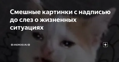 Смешные картинки с надписями до слез спокойной ночи