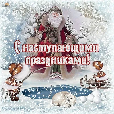 Смешные и прикольные картинки с наступающим Новым годом Собаки 2018. |  Christmas ornaments, Christmas bulbs, Holiday