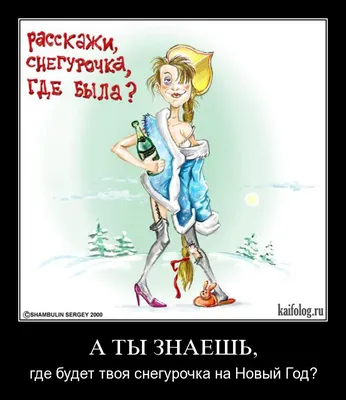 Господа, а кто как провел новый год? / Новый Год :: фото :: добра всем ::  2013 / смешные картинки и другие приколы: комиксы, гиф анимация, видео,  лучший интеллектуальный юмор.