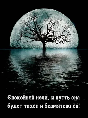 Картинки \"Спокойной летней ночи\" (65 открыток) • Прикольные картинки и  позитив