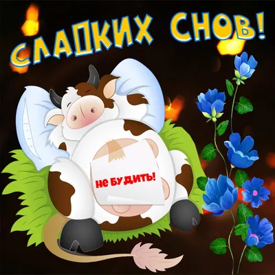 Необычные картинки \"Спокойной ночи!\" бесплатно (252 шт.)