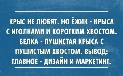 Смешные и саркастические цитаты. силуэтные значки со смешным сарказмом.  изолированные типографские этикетки. | Премиум векторы