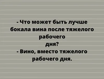 20 самых смешных и угарных фото кошек. Фото, которые обязательно рассмешат  и поднимут ваше настроение на весь день! Увлекательная информация | Все про  кошек | Дзен