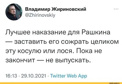 жириновский пятница / смешные картинки и другие приколы: комиксы, гиф  анимация, видео, лучший интеллектуальный юмор.