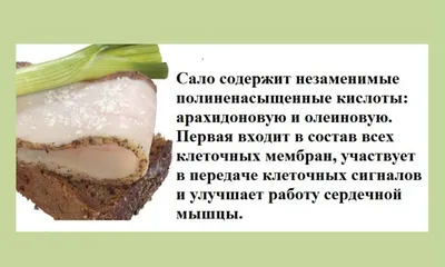 Хочется сала и жирной рыбы при похудении и, оказывается, что это самая  полезная еда для женщины при снижении веса | Дамы, давайте худеть вместе |  Дзен