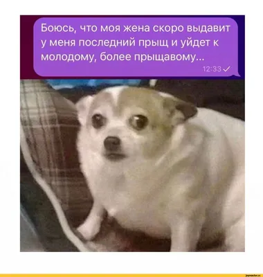 Как провести отпуск дома и отдохнуть: способы хорошо и интересно провести  отпуск дома с пользой - Дом и уют - Журнал Домклик